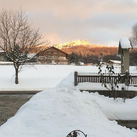 Hotel Gaestehaus Biggi Bodenmais Zewnętrze zdjęcie