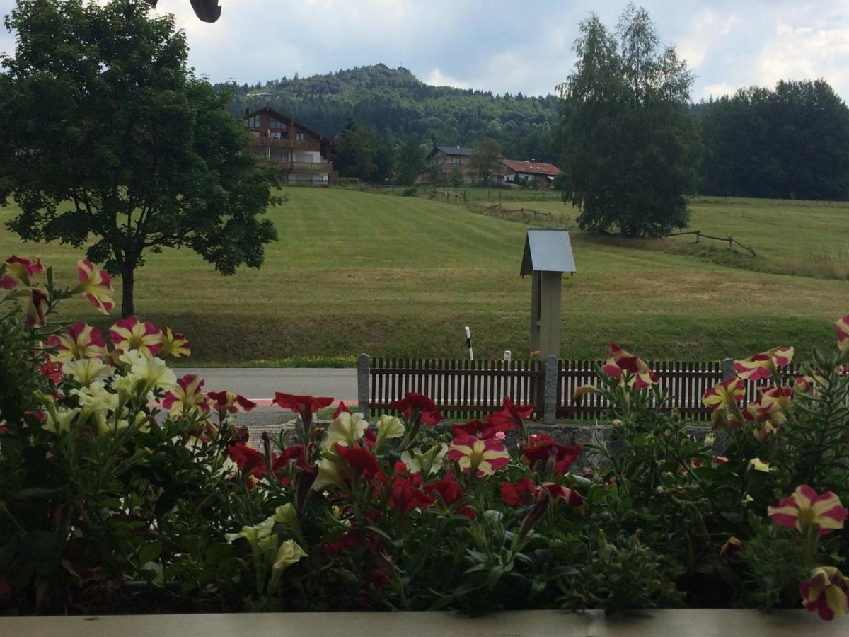 Hotel Gaestehaus Biggi Bodenmais Zewnętrze zdjęcie